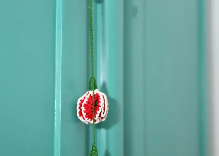 Casa Ivana Jurilovca